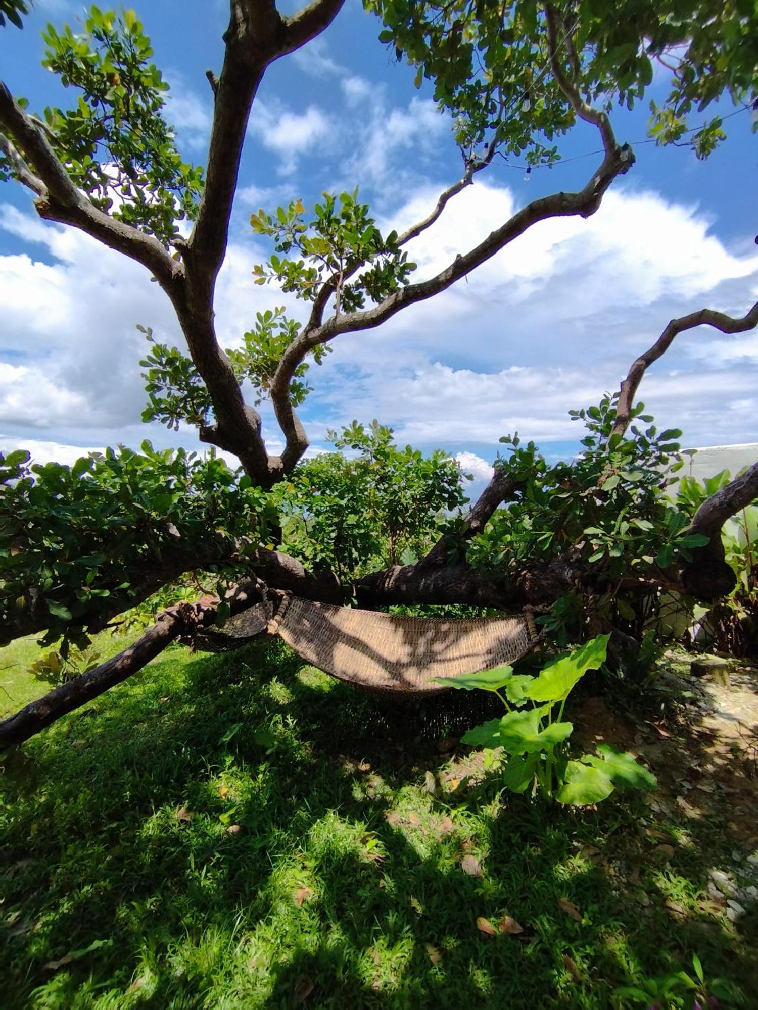 Ocean Green Eco Lodge Puerto Princesa Екстериор снимка